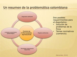 Situación en Colombia(Benavides, 2010)