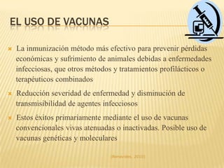 Los tres niveles de clasificación de una enfermedad(Benavides, 2010)