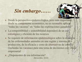 BRUCELOSIS(Benavides, 2010)