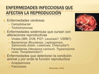 Enfermedades infecciosas que afectan la Reproducción Enfermedades venéreas