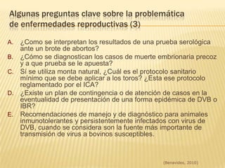 Deterioro de los servicios veterinarios oficiales