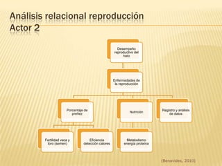 El abordaje Conceptual para los estudios epidemiológicos sobre el Aborto BovinoEstudios Transversales (prevalencia)
