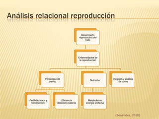 Estudios Epidemiológicos  Longitudinales (salud – producción)
