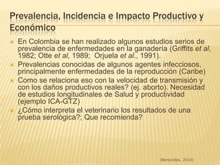 Virales (IBR, DVB, PI3?, Leucosis?, VSRB?)