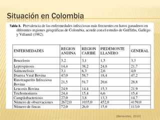 Bacterianas (Brucelosis, Leptospirosis, Salmonella dublin, Listeriosis, Chlamydia?)