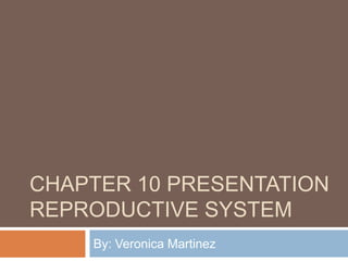 Chapter 10 presentation Reproductive System By: Veronica Martinez 