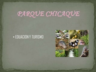 FORTALEZAS DEL PARQUEENCONTRAMOS UNA GRAN VARIEDAD DE FLORA Y FAUNA HAY MUI POCA CONTAMINACION VISUAL Y AUDITIVA ES UN LUGARLLENO DE TRANQUILIDAD Y NO HAY COINTAMINACION