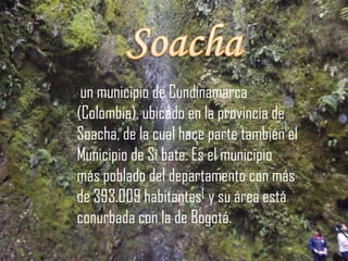 Soacha un municipio de Cundinamarca (Colombia), ubicado en la provincia de Soacha, de la cual hace parte también el Municipio de Si bate. Es el municipio más poblado del departamento con más de 393.009 habitantes[ y su área está conurbada con la de Bogotá.