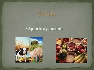 COMERCIO, SERVICIOSoacha Agricultura y ganaderíaBosacentroindustrialPARQUE CHICAQUE EDUACIONY TURISMO PROBLEMAS SOCIALES RUMBO AL PARQUEDESPLAZAMIENTODESEMPLEO