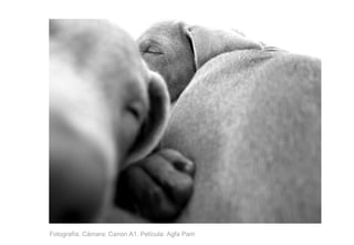 Fotografía. Cámara: Canon A1. Película: Agfa Pam 