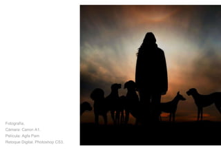 Fotografía. Cámara: Canon A1. Película: Agfa Pam  Retoque Digital. Photoshop CS3. 