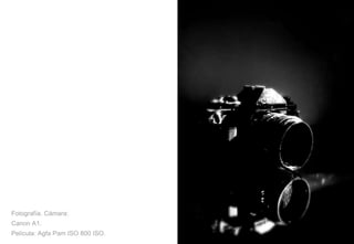 Fotografía. Cámara: Canon A1. Película: Agfa Pam ISO 800 ISO. 