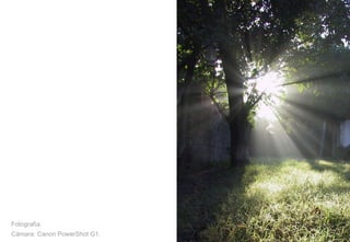 Fotografía. Cámara: Canon PowerShot G1. 