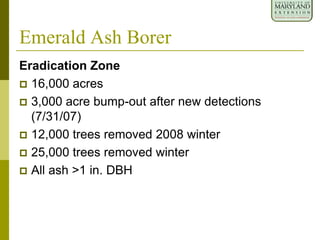 Emerald Ash Borer
Eradication Zone
 16,000 acres
 3,000 acre bump-out after new detections
(7/31/07)
 12,000 trees removed 2008 winter
 25,000 trees removed winter
 All ash >1 in. DBH
 