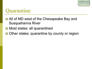 Quarantine
 All of MD west of the Chesapeake Bay and
Susquehanna River
 Most states: all quarantined
 Other states: quarantine by county or region
 