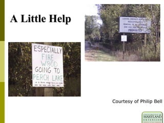 A Little Help
Courtesy of Philip Bell
 