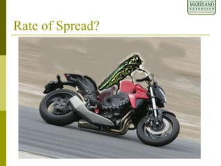Rate of Spread?
 