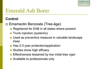 Emerald Ash Borer
Control
 Emamectin Benzoate (Tree-äge)
 Registered for EAB in all states where present
 Trunk injection (systemic)
 Used as preventive measure in valuable landscape
trees
 Has 2-3 year protection/application
 Studies show high efficacy
 Effectiveness lessened by low initial tree vigor
 Available to professionals only
 