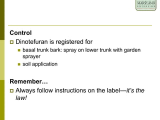 Control
 Dinotefuran is registered for
 basal trunk bark: spray on lower trunk with garden
sprayer
 soil application
Remember…
 Always follow instructions on the label—it’s the
law!
 