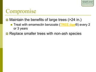 Compromise
 Maintain the benefits of large trees (>24 in.)
 Treat with emamectin benzoate (TREE-äge®) every 2
or 3 years
 Replace smaller trees with non-ash species
 