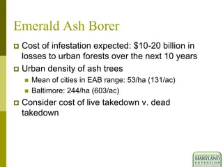 Emerald Ash Borer
 Cost of infestation expected: $10-20 billion in
losses to urban forests over the next 10 years
 Urban density of ash trees
 Mean of cities in EAB range: 53/ha (131/ac)
 Baltimore: 244/ha (603/ac)
 Consider cost of live takedown v. dead
takedown
 