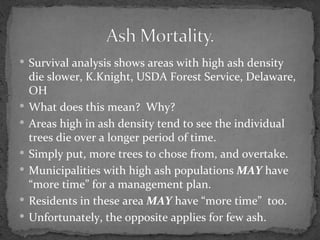  Survival analysis shows areas with high ash density
    die slower, K.Knight, USDA Forest Service, Delaware,
    OH
   What does this mean? Why?
   Areas high in ash density tend to see the individual
    trees die over a longer period of time.
   Simply put, more trees to chose from, and overtake.
   Municipalities with high ash populations MAY have
    “more time” for a management plan.
   Residents in these area MAY have “more time” too.
   Unfortunately, the opposite applies for few ash.
 