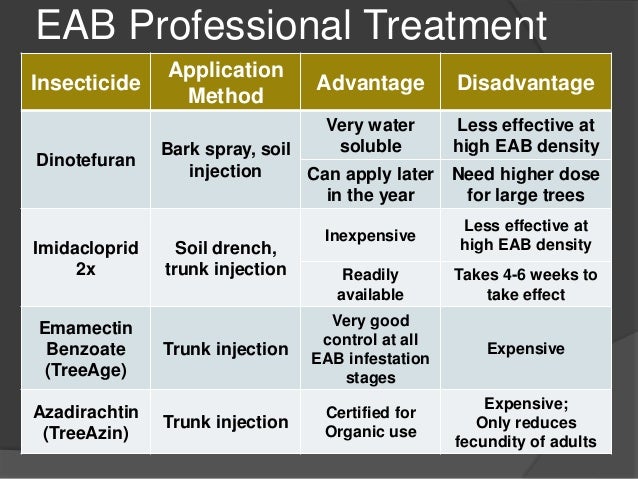 What is an effective treatment for ash borer infestation?