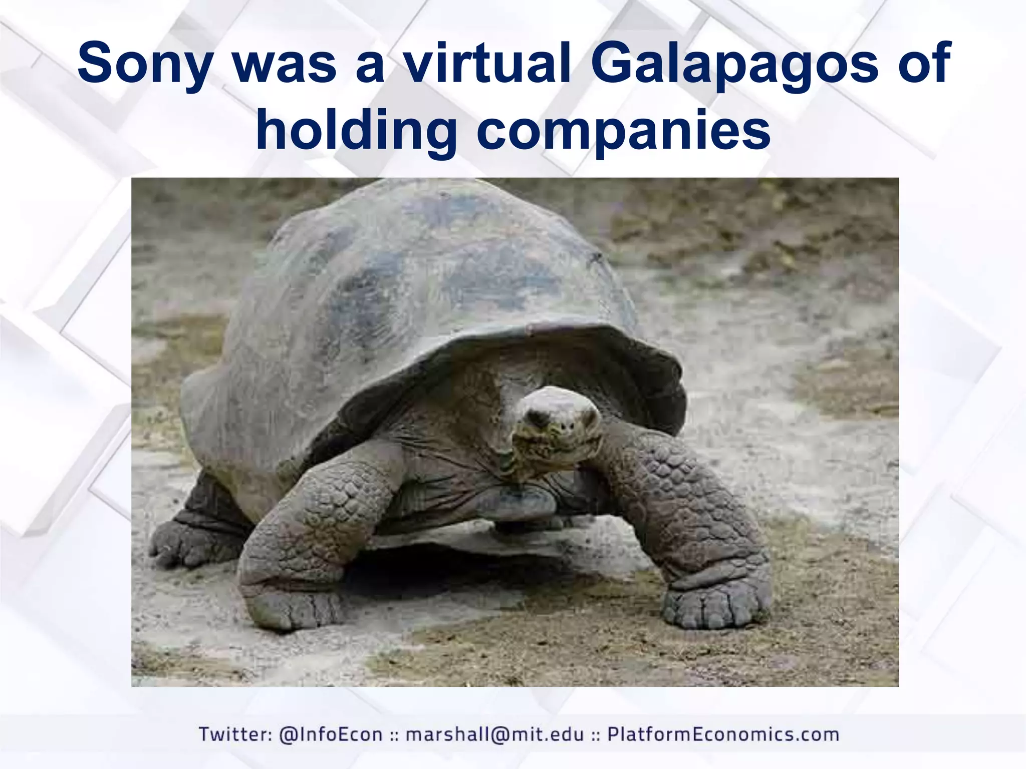 Sony was a virtual Galapagos of
holding companies

 