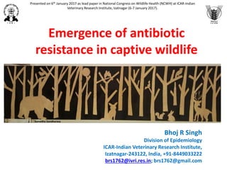 Emergence of antibiotic
resistance in captive wildlife
Bhoj R Singh
Division of Epidemiology
ICAR-Indian Veterinary Research Institute,
Izatnagar-243122, India, +91-8449033222
brs1762@ivri.res.in; brs1762@gmail.com
Sumedha Gandharava
Presented on 6th January 2017 as lead paper in National Congress on Wildlife Health (NCWH) at ICAR-Indian
Veterinary Research Institute, Izatnagar (6-7 January 2017).
 