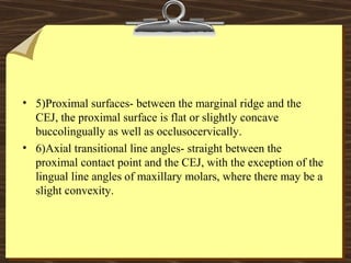 • 5)Proximal surfaces- between the marginal ridge and the
CEJ, the proximal surface is flat or slightly concave
buccolingually as well as occlusocervically.
• 6)Axial transitional line angles- straight between the
proximal contact point and the CEJ, with the exception of the
lingual line angles of maxillary molars, where there may be a
slight convexity.
 
