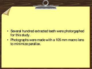 • Several hundred extracted teeth werephotorgaphed
for thisstudy.
• Photographsweremadewith a105 mm macro lens
to minimizeparallax.
 