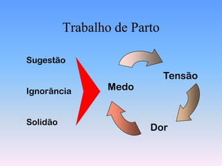 Trabalho de Parto

Sugestão
                              Tensão
Ignorância       Medo


Solidão
                         Dor
 