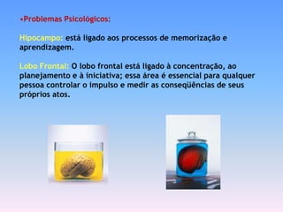 •Problemas Psicológicos:

Hipocampo: está ligado aos processos de memorização e
aprendizagem.

Lobo Frontal: O lobo frontal está ligado à concentração, ao
planejamento e à iniciativa; essa área é essencial para qualquer
pessoa controlar o impulso e medir as conseqüências de seus
próprios atos.
 