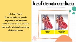 Comprehensive Overview of Cardiac Insufficiency Types, Causes, and ...