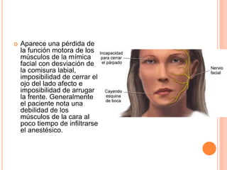  Aparece una pérdida de
la función motora de los
músculos de la mímica
facial con desviación de
la comisura labial,
imposibilidad de cerrar el
ojo del lado afecto e
imposibilidad de arrugar
la frente. Generalmente
el paciente nota una
debilidad de los
músculos de la cara al
poco tiempo de infiltrarse
el anestésico.
 