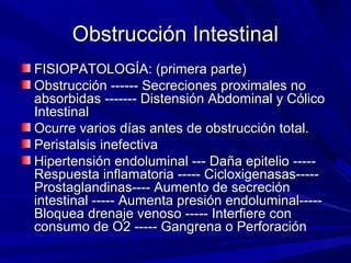 Obstrucción Intestinal
FISIOPATOLOGÍA: (primera parte)
Obstrucción ------ Secreciones proximales no
absorbidas ------- Distensión Abdominal y Cólico
Intestinal
Ocurre varios días antes de obstrucción total.
Peristalsis inefectiva
Hipertensión endoluminal --- Daña epitelio -----
Respuesta inflamatoria ----- Cicloxigenasas-----
Prostaglandinas---- Aumento de secreción
intestinal ----- Aumenta presión endoluminal-----
Bloquea drenaje venoso ----- Interfiere con
consumo de O2 ----- Gangrena o Perforación
 