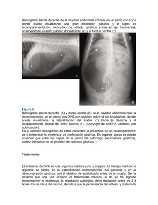 Emergencias en veterinaria | DOCX