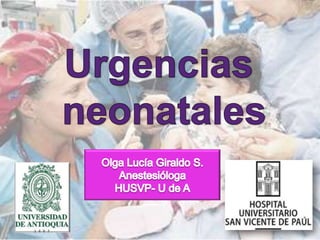 Urgencias  neonatales Olga Lucía Giraldo S. Anestesióloga HUSVP- U de A 