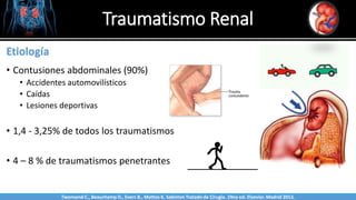 Traumatismo Renal
Etiología
• Contusiones abdominales (90%)
• Accidentes automovilísticos
• Caídas
• Lesiones deportivas
• 1,4 - 3,25% de todos los traumatismos
• 4 – 8 % de traumatismos penetrantes
SabinstonTwonsend C., Beauchamp D., Evers B., Mattox K. Sabiston Tratado de Cirugía. 19na ed. Elsevier. Madrid 2013.
 