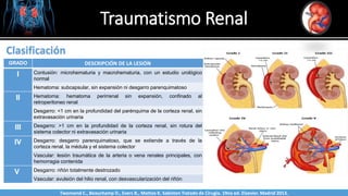 Traumatismo Renal
Sabinston
Clasificación
GRADO DESCRIPCIÓN DE LA LESIÓN
I Contusión: microhematuria y macrohematuria, con un estudio urológico
normal
Hematoma: subcapsular, sin expansión ni desgarro parenquimatoso
II Hematoma: hematoma perirrenal sin expansión, confinado al
retroperitoneo renal
Desgarro: <1 cm en la profundidad del parénquima de la corteza renal, sin
extravasación urinaria
III Desgarro: >1 cm en la profundidad de la corteza renal, sin rotura del
sistema colector ni extravasación urinaria
IV Desgarro: desgarro parenquimatoso, que se extiende a través de la
corteza renal, la médula y el sistema colector
Vascular: lesión traumática de la arteria o vena renales principales, con
hemorragia contenida
V Desgarro: riñón totalmente destrozado
Vascular: avulsión del hilio renal, con desvascularización del riñón
Twonsend C., Beauchamp D., Evers B., Mattox K. Sabiston Tratado de Cirugía. 19na ed. Elsevier. Madrid 2013.
 