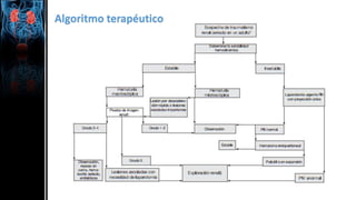 Algoritmo terapéutico
 
