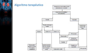 Algoritmo terapéutico
 