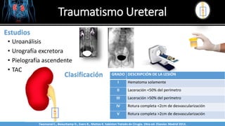 Traumatismo Ureteral
Sabinston
Estudios
• Uroanálisis
• Urografía excretora
• Pielografía ascendente
• TAC
Clasificación GRADO DESCRIPCIÓN DE LA LESIÓN
I Hematoma solamente
II Laceración <50% del perímetro
III Laceración >50% del perímetro
IV Rotura completa <2cm de desvascularización
V Rotura completa >2cm de desvascularización
Twonsend C., Beauchamp D., Evers B., Mattox K. Sabiston Tratado de Cirugía. 19na ed. Elsevier. Madrid 2013.
 