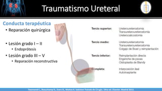 Traumatismo Ureteral
Sabinston
Conducta terapéutica
• Reparación quirúrgica
• Lesión grado I – II
• Endoprótesis
• Lesión grado III – V
• Reparación reconstructiva
Twonsend C., Beauchamp D., Evers B., Mattox K. Sabiston Tratado de Cirugía. 19na ed. Elsevier. Madrid 2013.
 