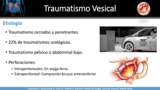 Traumatismo Vesical
Sabinston
Etiología
• Traumatismo cerrados y penetrantes.
• 22% de traumatismos urológicos.
• Traumatismo pélvico o abdominal bajo.
• Perforaciones:
• Intraperitoneales: En vejiga llena.
• Extraperitoneal: Compresión brusca anteroinferior
Twonsend C., Beauchamp D., Evers B., Mattox K. Sabiston Tratado de Cirugía. 19na ed. Elsevier. Madrid 2013.
 