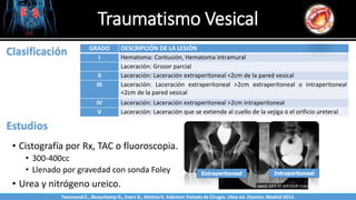 Traumatismo Vesical
Sabinston
Clasificación GRADO DESCRIPCIÓN DE LA LESIÓN
I Hematoma: Contusión, Hematoma intramural
Laceración: Grosor parcial
II Laceración: Laceración extraperitoneal <2cm de la pared vesical
III Laceración: Laceración extraperitoneal >2cm extraperitoneal o intraperitoneal
<2cm de la pared vesical
IV Laceración: Laceración extraperitoneal >2cm intraperitoneal
V Laceración: Laceración que se extiende al cuello de la vejiga o el orificio ureteral
Estudios
• Cistografía por Rx, TAC o fluoroscopia.
• 300-400cc
• Llenado por gravedad con sonda Foley
• Urea y nitrógeno ureico.
Extraperitoneal Intraperitoneal
Twonsend C., Beauchamp D., Evers B., Mattox K. Sabiston Tratado de Cirugía. 19na ed. Elsevier. Madrid 2013.
 
