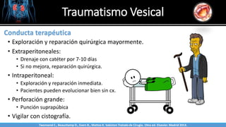 Traumatismo Vesical
Sabinston
Conducta terapéutica
• Exploración y reparación quirúrgica mayormente.
• Extraperitoneales:
• Drenaje con catéter por 7-10 días
• Si no mejora, reparación quirúrgica.
• Intraperitoneal:
• Exploración y reparación inmediata.
• Pacientes pueden evolucionar bien sin cx.
• Perforación grande:
• Punción suprapúbica
• Vigilar con cistografía.
Twonsend C., Beauchamp D., Evers B., Mattox K. Sabiston Tratado de Cirugía. 19na ed. Elsevier. Madrid 2013.
 