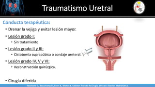 Traumatismo Uretral
Sabinston
Conducta terapéutica:
• Drenar la vejiga y evitar lesión mayor.
• Lesión grado I:
• Sin tratamiento
• Lesión grado II y III:
• Cistotomía suprapúbica o sondaje ureteral.
• Lesión grado IV, V y VI:
• Reconstrucción quirúrgica.
• Cirugía diferida
Twonsend C., Beauchamp D., Evers B., Mattox K. Sabiston Tratado de Cirugía. 19na ed. Elsevier. Madrid 2013.
 
