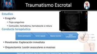 Traumatismo Escrotal
Sabinston
Estudios
• Ecografía
• Flujo sanguíneo
• Contusión, hematoma, hematocele o rotura
Conducta terapéutica
Salvar parénquima Cerrar capsula Reparar escroto
Evitar
complicaciones
• Penetrante: Exploración inmediata
• Orquiectomía: Lesión avasculares o masivas
Twonsend C., Beauchamp D., Evers B., Mattox K. Sabiston Tratado de Cirugía. 19na ed. Elsevier. Madrid 2013.
 