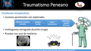Eliminar material
extraño.
Limpiar
herida
Lograr
hemostasia
Detectar y
reparar
defectos.
Traumatismo Peneano
Sabinston
Conducta terapéutica:
• Lesiones penetrantes son exploradas
• Uretrograma retrogrado durante cirugía.
• Pruebas con azul de metileno.
Twonsend C., Beauchamp D., Evers B., Mattox K. Sabiston Tratado de Cirugía. 19na ed. Elsevier. Madrid 2013.
 